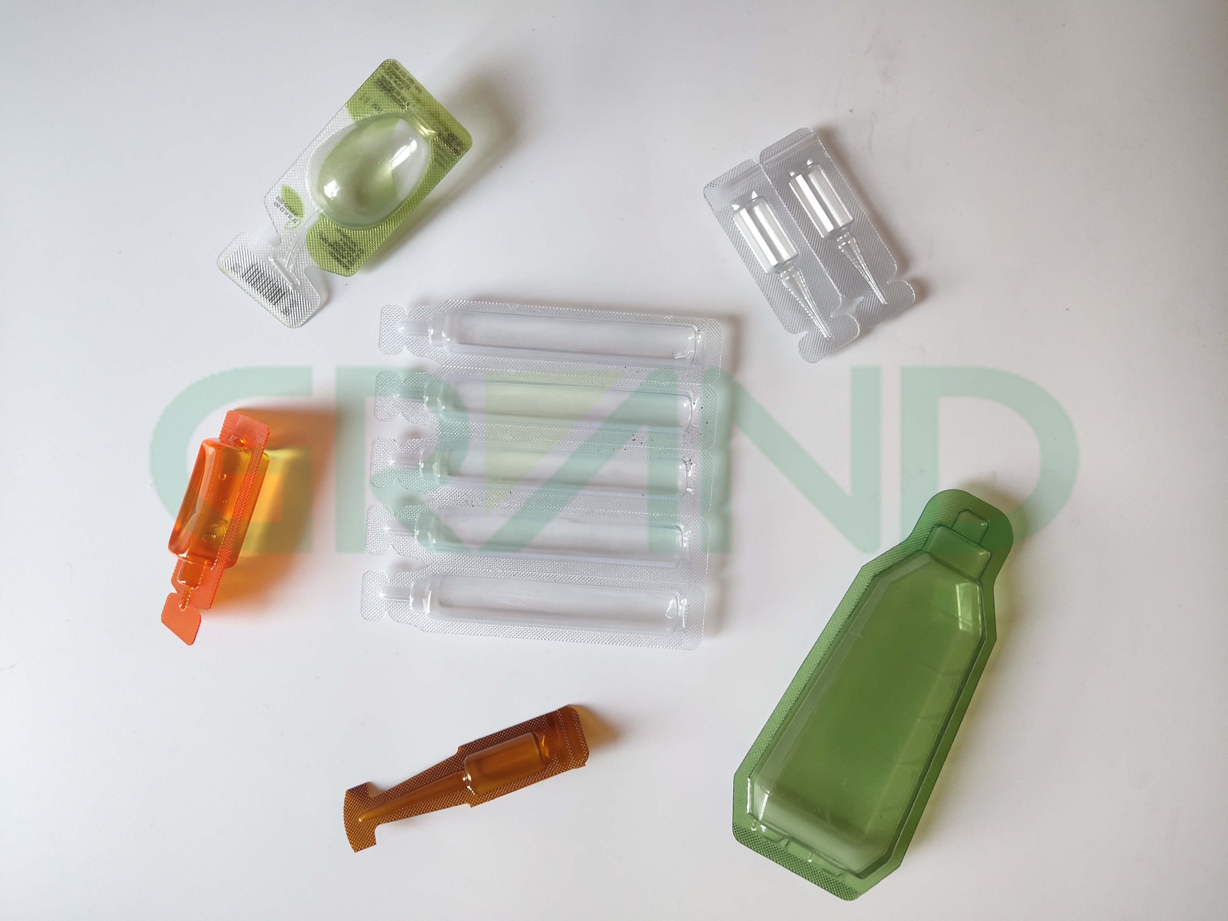 Домашнее животное 样品