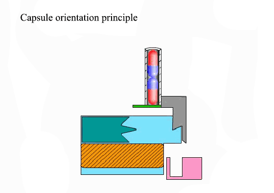 Principio de orientaci&oacute;n de la c&aacute;psula